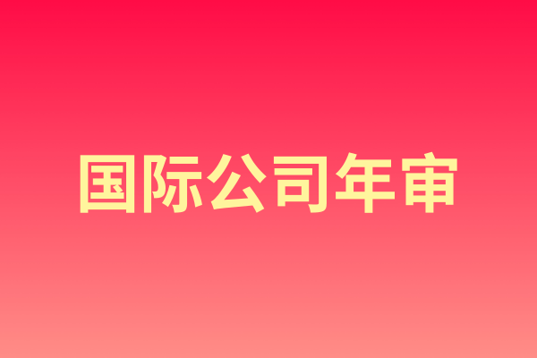 国际公司年审